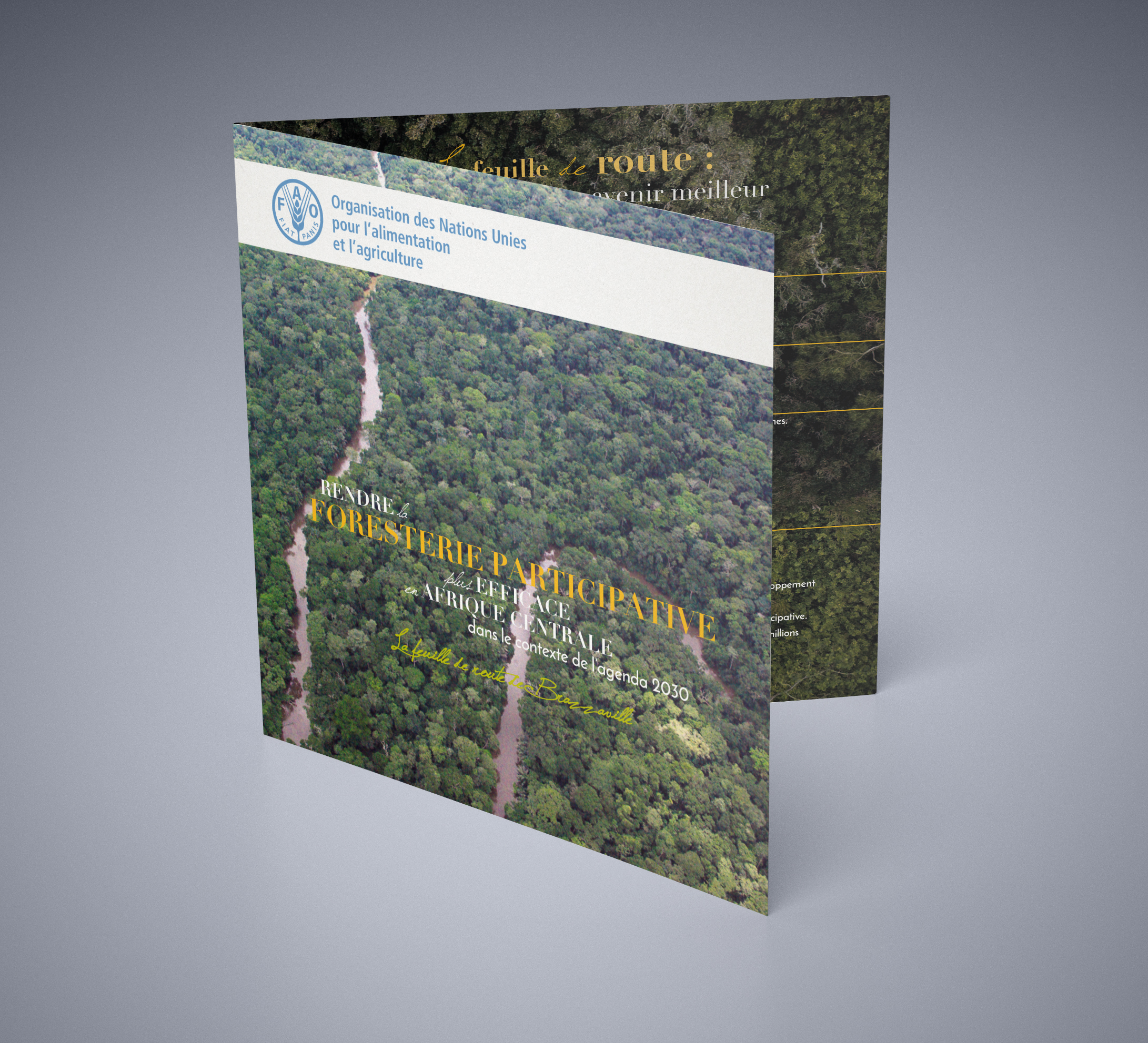 For A More Effective Participatory Forestry in the Context of the 2030 Agenda, The Brazzaville Roadmap