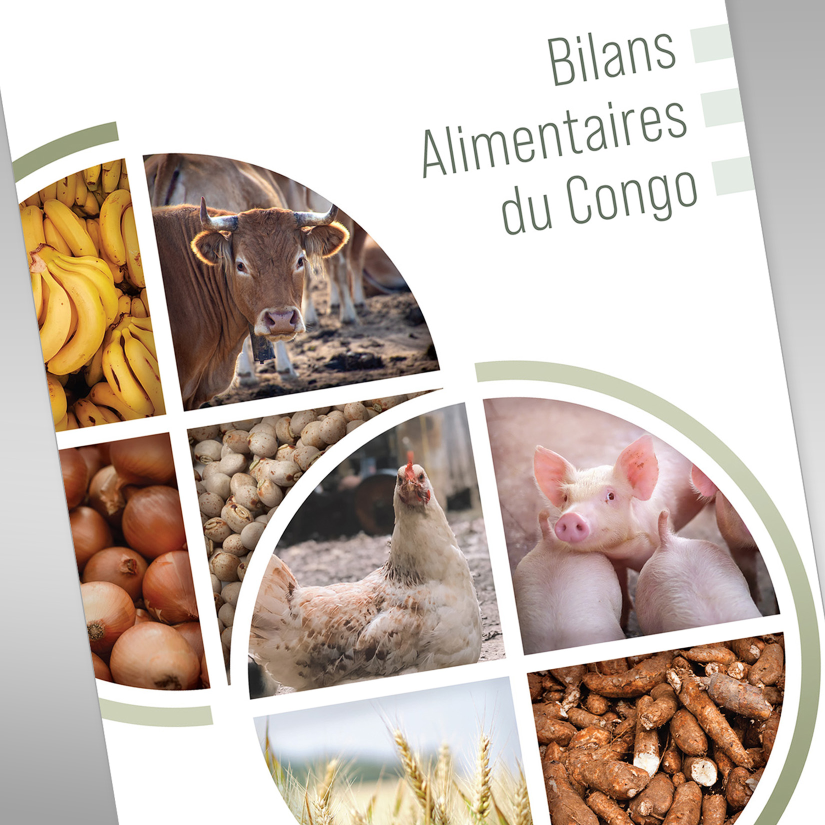 Food Balance Sheets of the Republic of Congo (2014-2019)